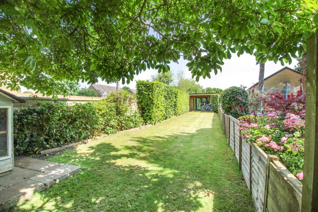 garden 1