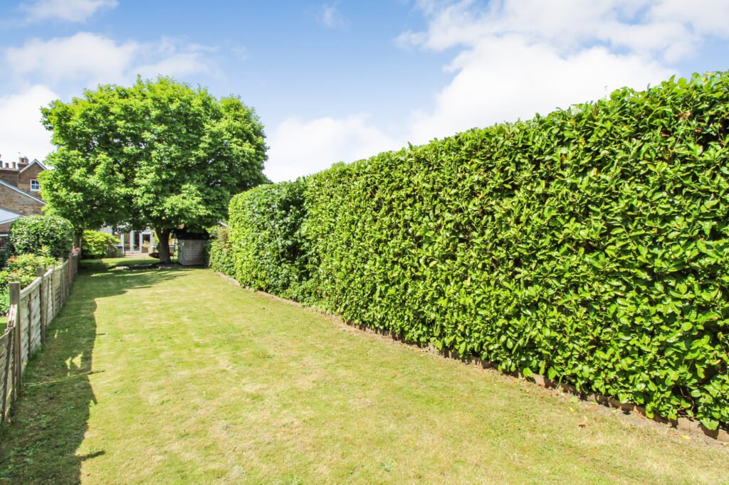 garden 3