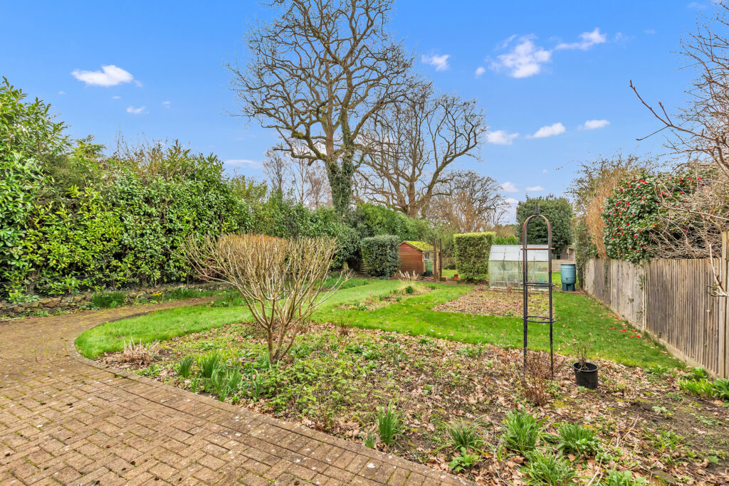 garden 1
