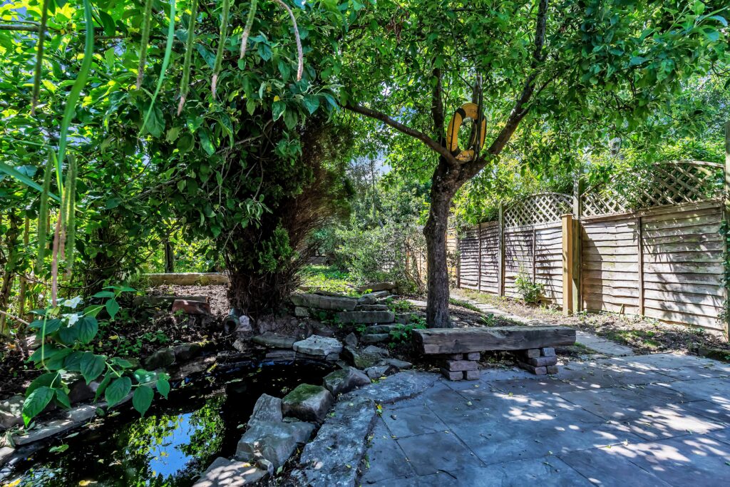 garden 1